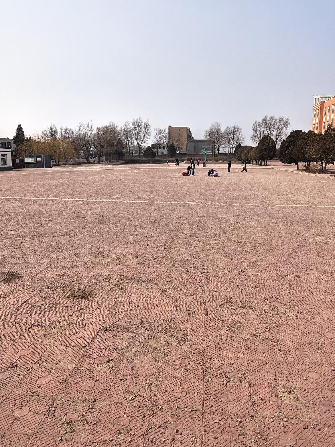 阳光洒满的操场，悠闲玩耍的孩子们，享受美好时光。