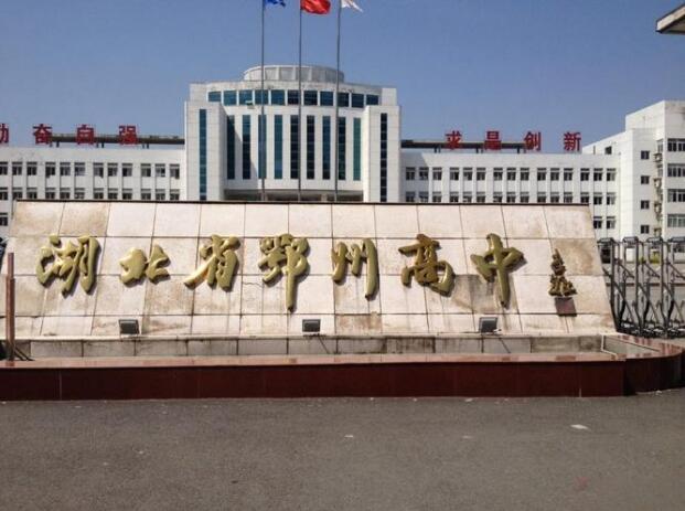 【高一智学鄂州高中霸榜】

2025年5月14日、5月15日，湖北省重点高中智学