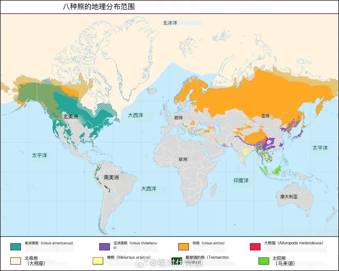 八种“熊”的分布。熊 大熊猫 动物科普