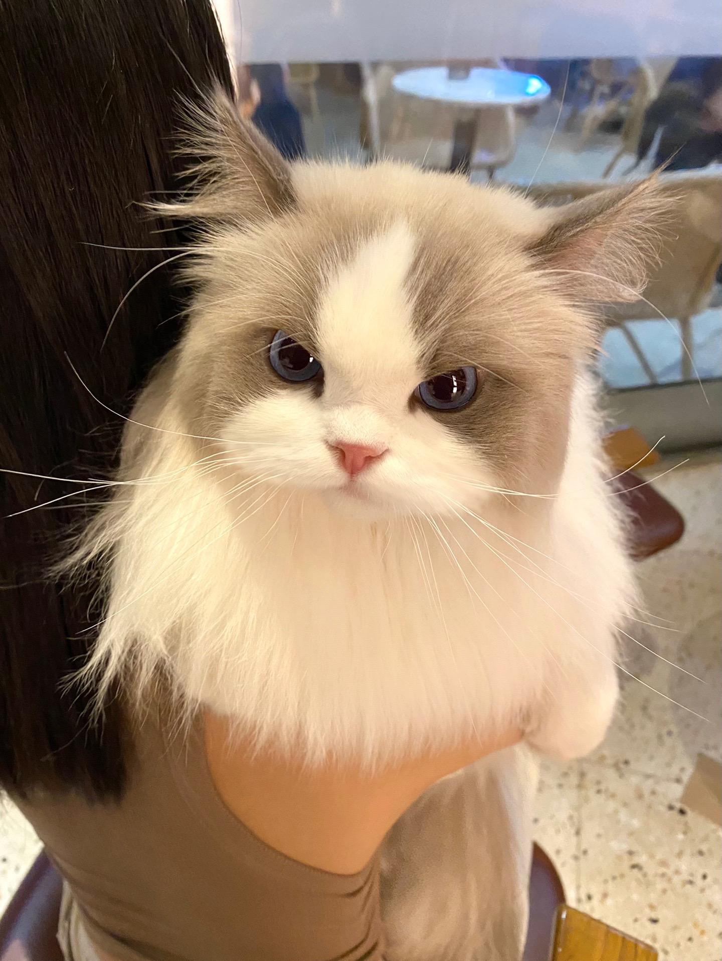 被路人抱了一下气鼠咯。