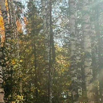 每日一善‎每日一善 ‎阳光‎信用 人生的路经历过，才知道有短有长；岁月，在无憾中