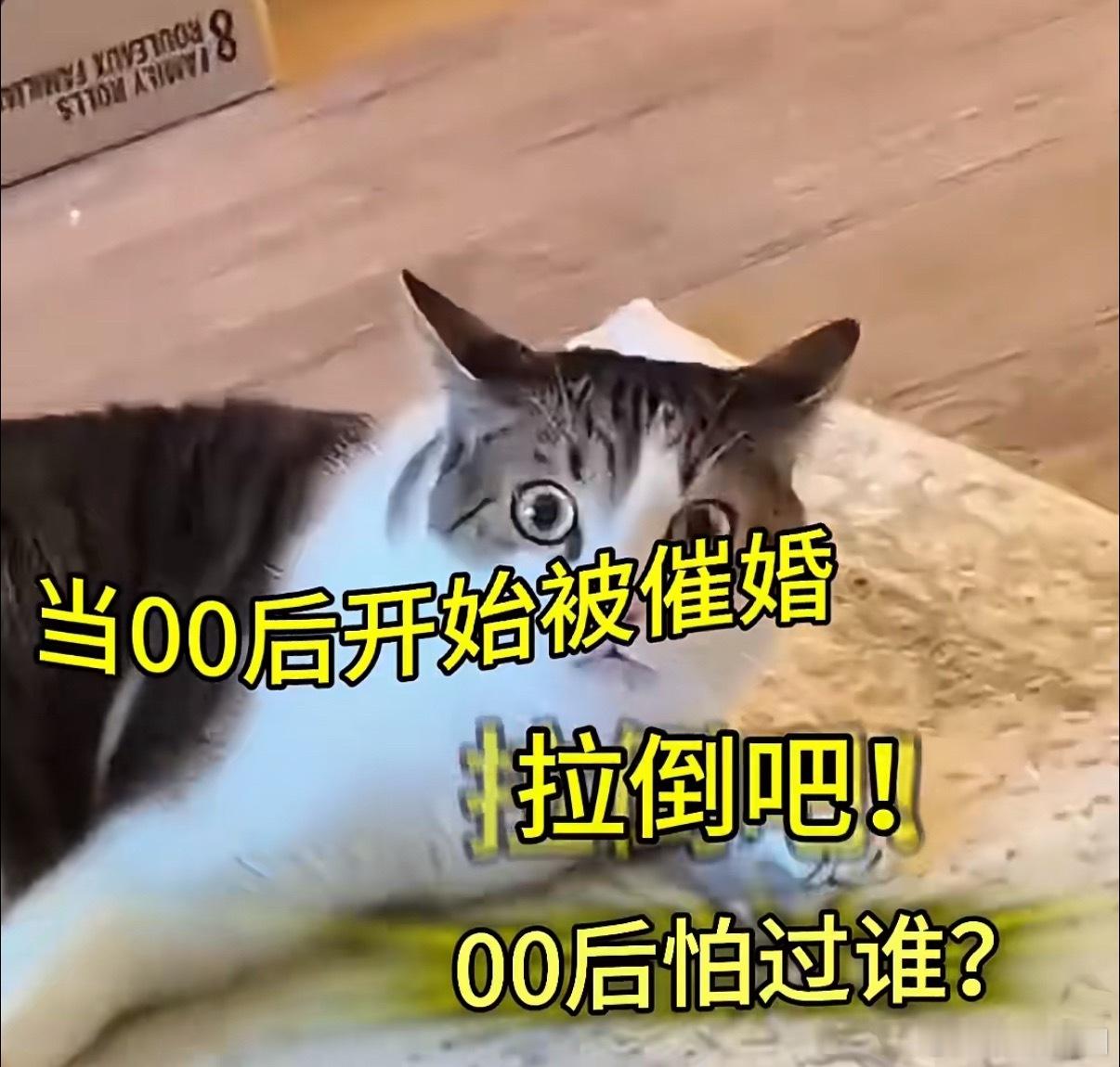 你们被催婚都这么好笑吗催婚现场，00后直接给我演成了喜剧现场，瞳孔地震+躺平摆烂