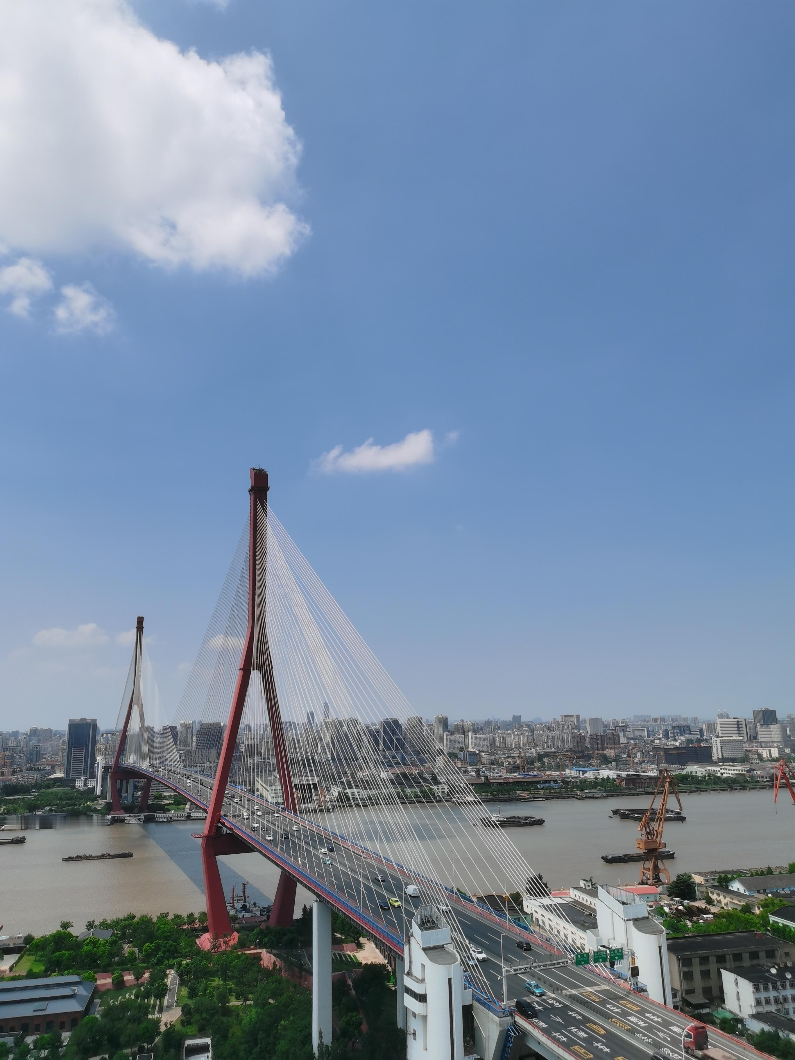 杨浦大桥 