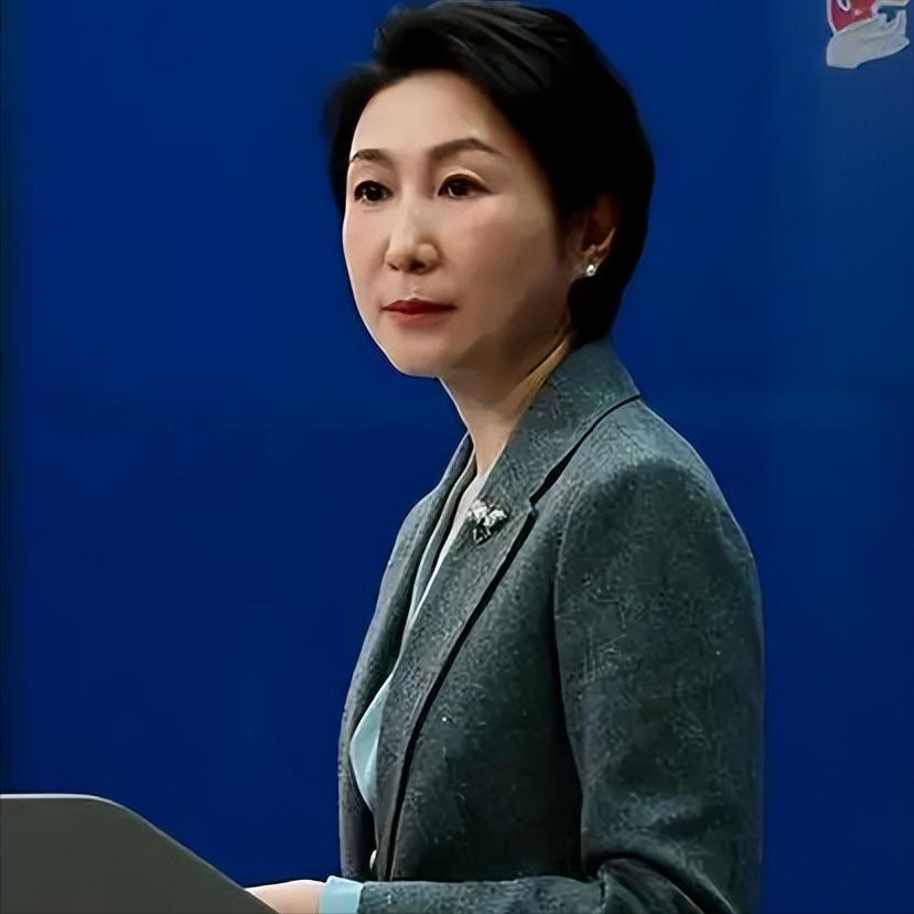 就在前天，

中国外交部发布严正声明，

4月7日，外交部发言人毛宁在例行记者会