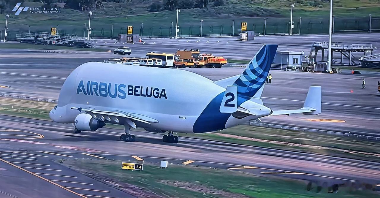 Airbus Beluga
大白鲨空中巴士