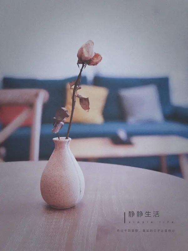 今年春天最想实现的心愿平心静气的生活