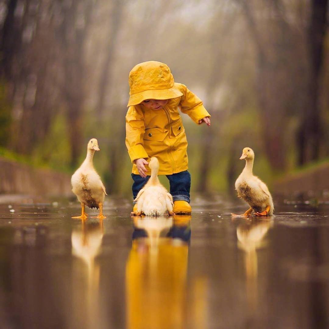 好好休息，各位大朋友。未来会更好，你也会更好。做个大人很累吧，那就偷个空做个小朋