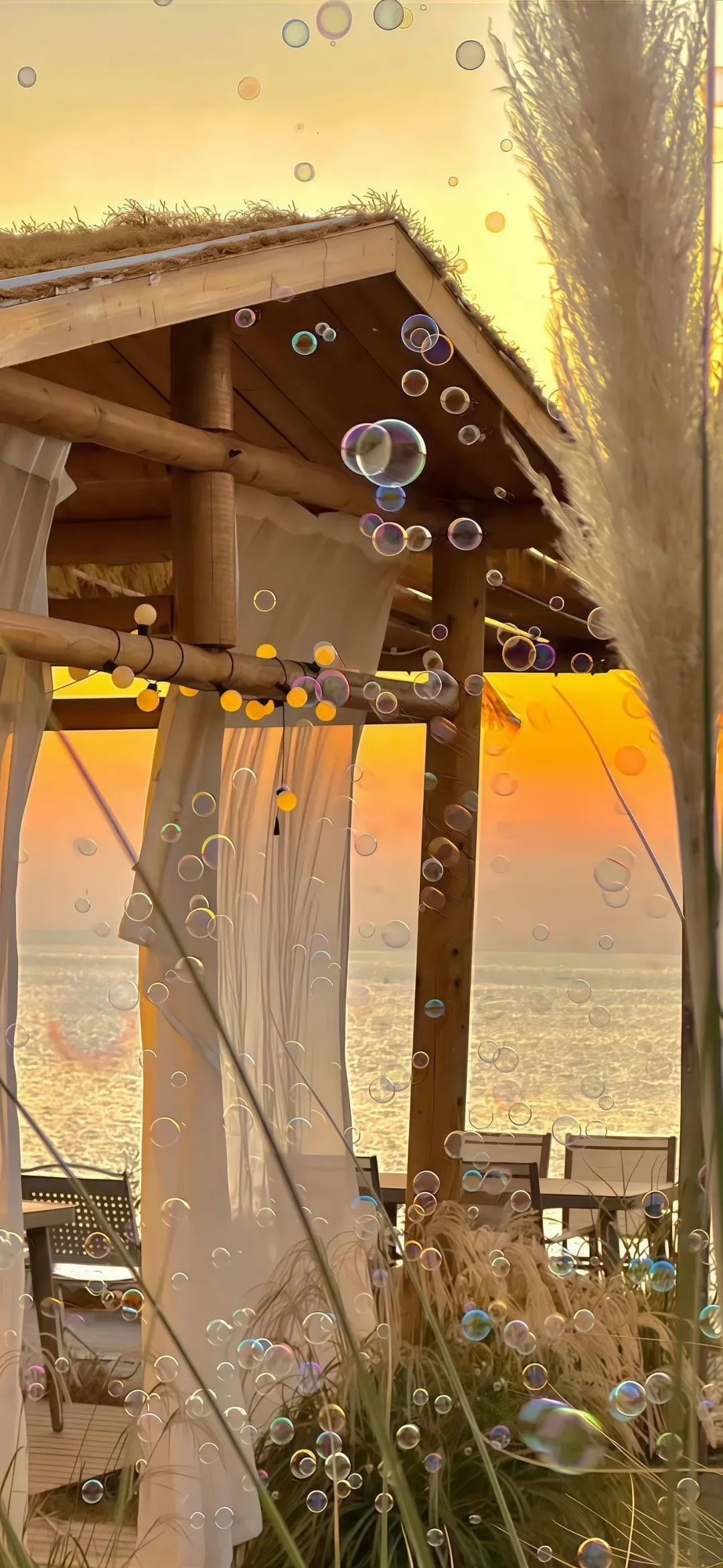 把温柔藏在日常里 