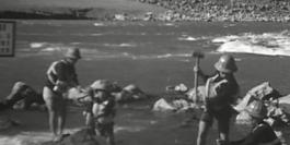 1964年5月，毛泽东在中南海接见外宾时说：“突然冒出一句让在场所有人都愣住的话