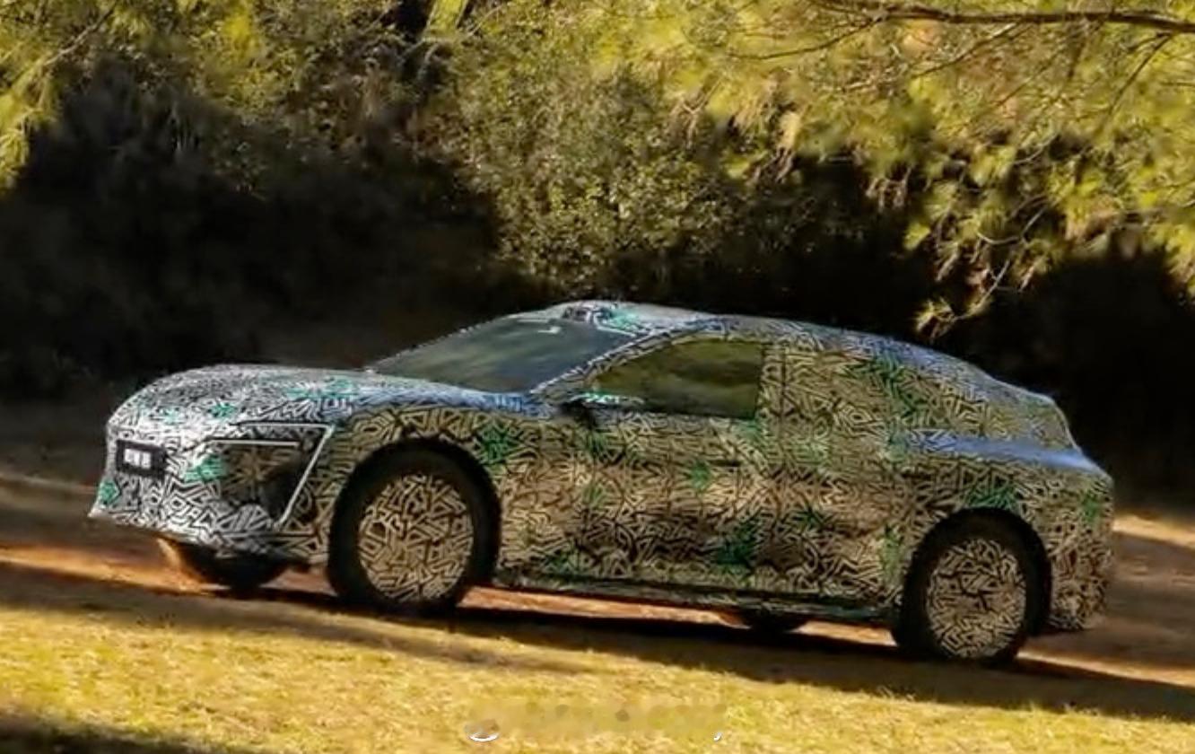 阿维塔那台旅行或猎装定位的新车近照伪装已经卸下了非常多整体的样式还是遵从阿维塔0