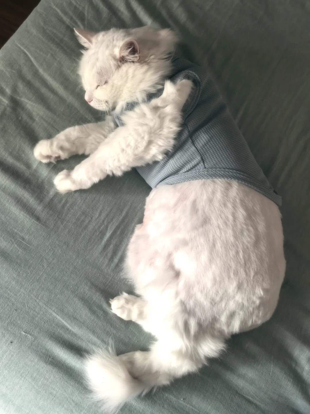 ขอบคุณสำหรับของขวัญ