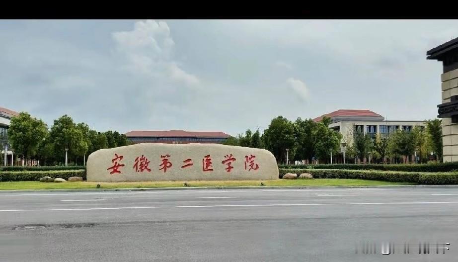 寿县新桥大学城到县城的公交611路开始公示，方便学生出行
寿县交通运输局发布公告