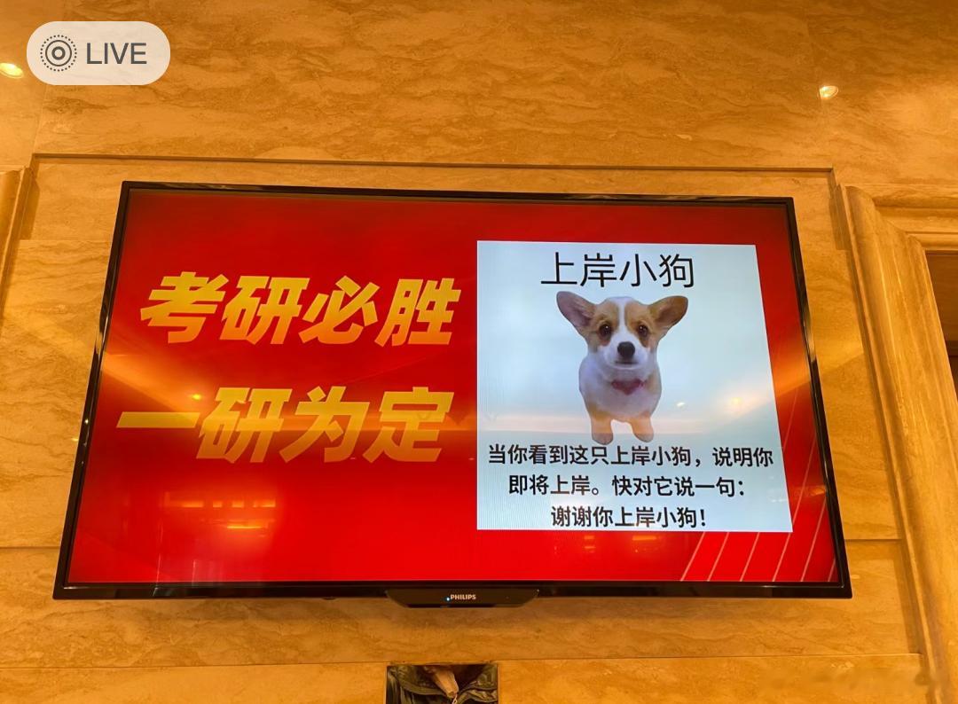 #被考研酒店暖到了#被考研酒店暖到了[泪] #为考研加油# ​​​