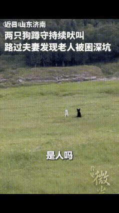 “没想到上人民日报了！”山东济南的00后小夫妻朱加旭和李雪，在水库附近游玩时，经