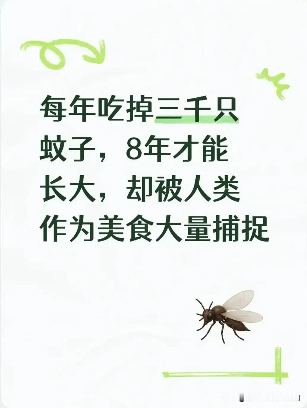 知道这是什么动物吗？