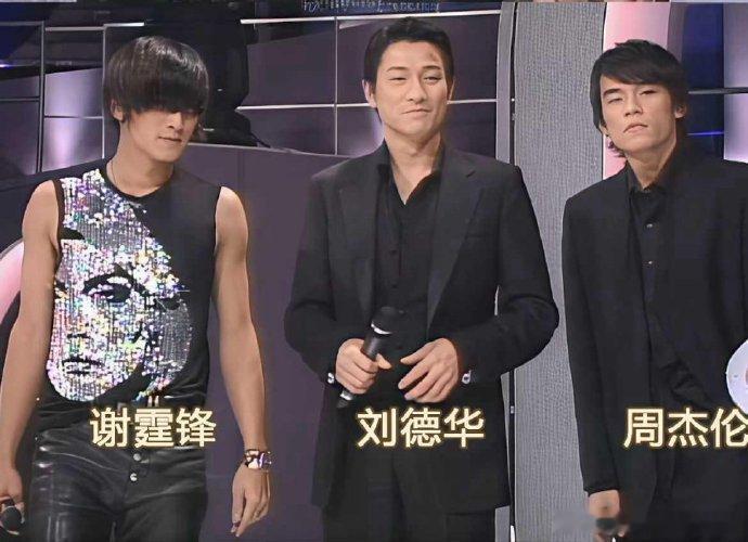 当年谢霆锋那款发型也是绝了，长刘海遮得连眼睛都瞅不见。 