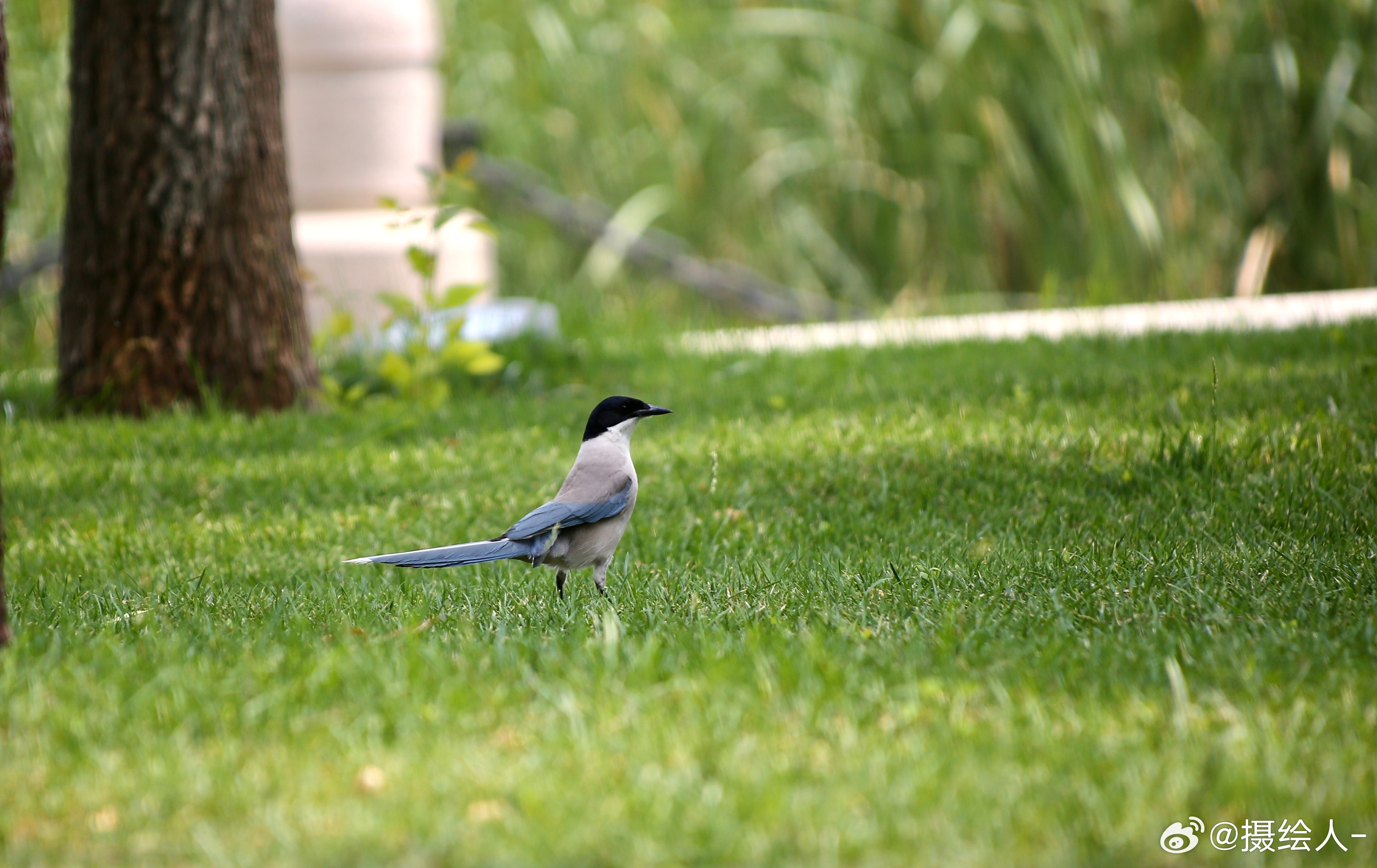 朋友们，早上好！ 