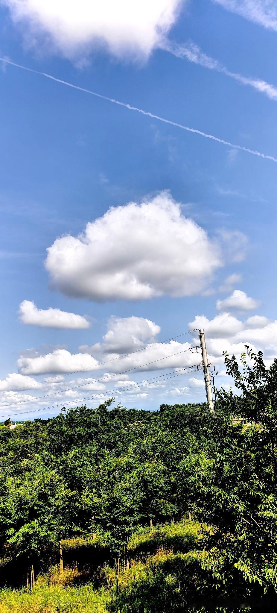 夏日晴空
 
站在路边抬头，瞬间被这片蓝天治愈了。满眼透亮的蓝，大朵白云软乎乎悬