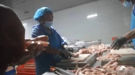 河南多家工厂被曝光，馅料暗藏猫腻！撒尿牛肉味丸主料竟是鸡脖泥，诱人牛肉风味全靠牛
