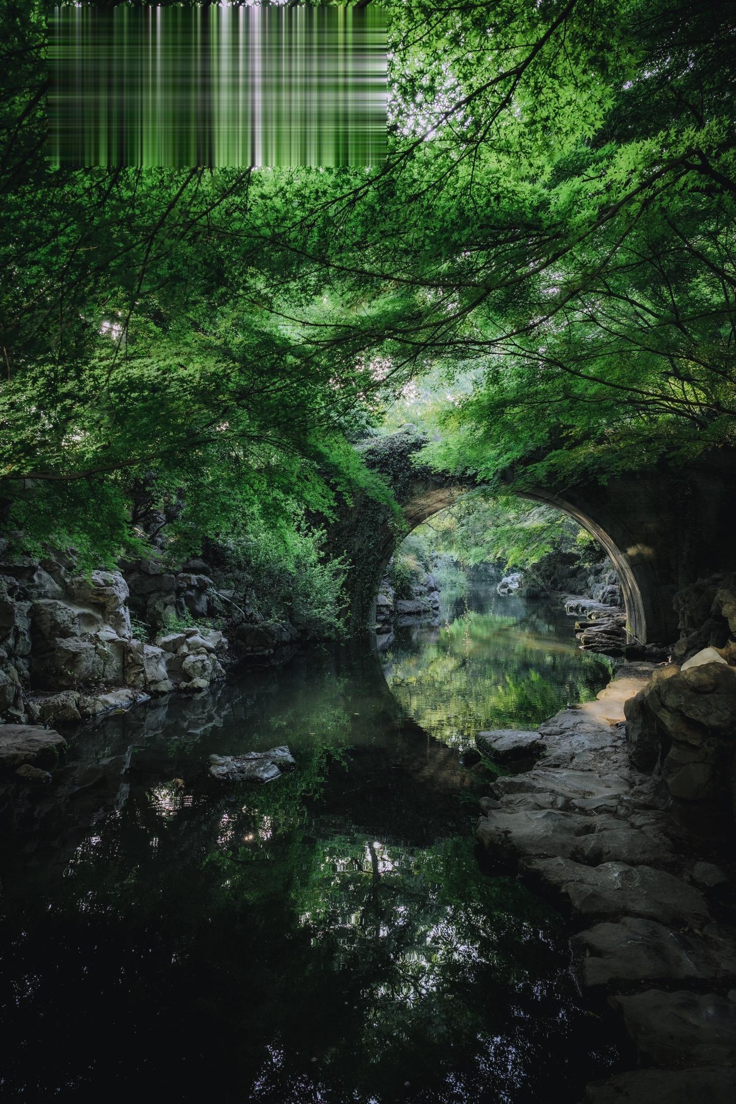 杭州的夏天一定要去这6️⃣个地方吸氧‼️。杭州已经渐渐步入夏天
如果你想找几个地方吸氧
那下面的这些地方一定不要错过
·
1️⃣云栖竹径（P3/6/11）
地点：梅岭南路8号，导航云栖竹径
门票：8元/人
游玩建议：入口处的门牌、洗心亭、回龙亭，以及遍布景区的竹林都是绝佳的拍照
·
2️⃣柳浪闻莺（P1）
地点：直接导航西湖景区-柳浪闻莺
门票：免费
游玩建议：最出片的位置定位“新横河桥”即可，桥洞下面有一片绿野迷踪，超出片
·
3️⃣虎跑公园（P2/4/7/8）
地点：直接导航虎跑公园即可
门票：15元
