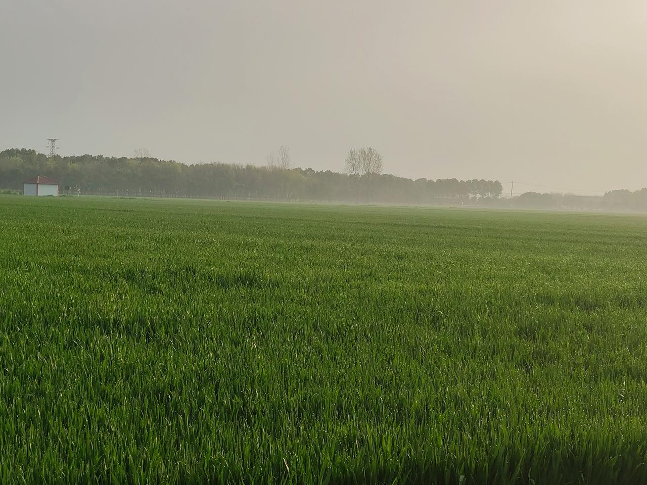 清明节放假，回老家祭祖成了一种行动，也是感情的表达
清明祭祖，不只是烧纸扫墓，更