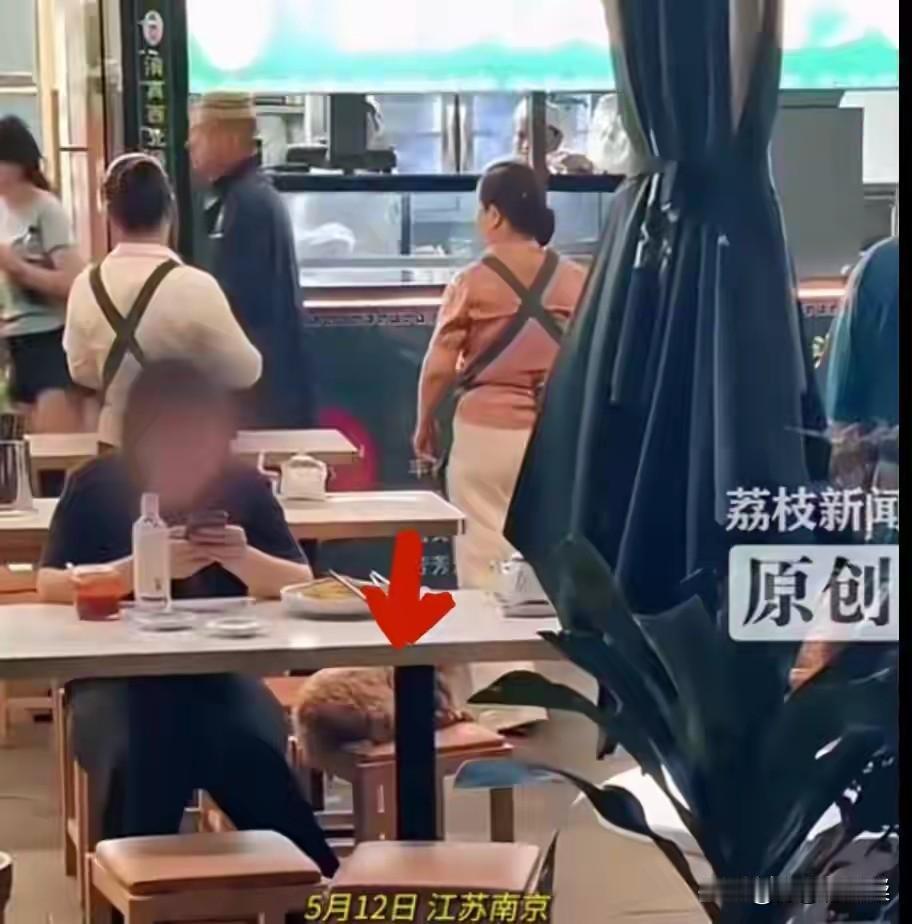 某些养狗的人究竟是咋地了？把狗带进餐厅吃饭的事儿怎么一波未平一波又起呢？近日，有