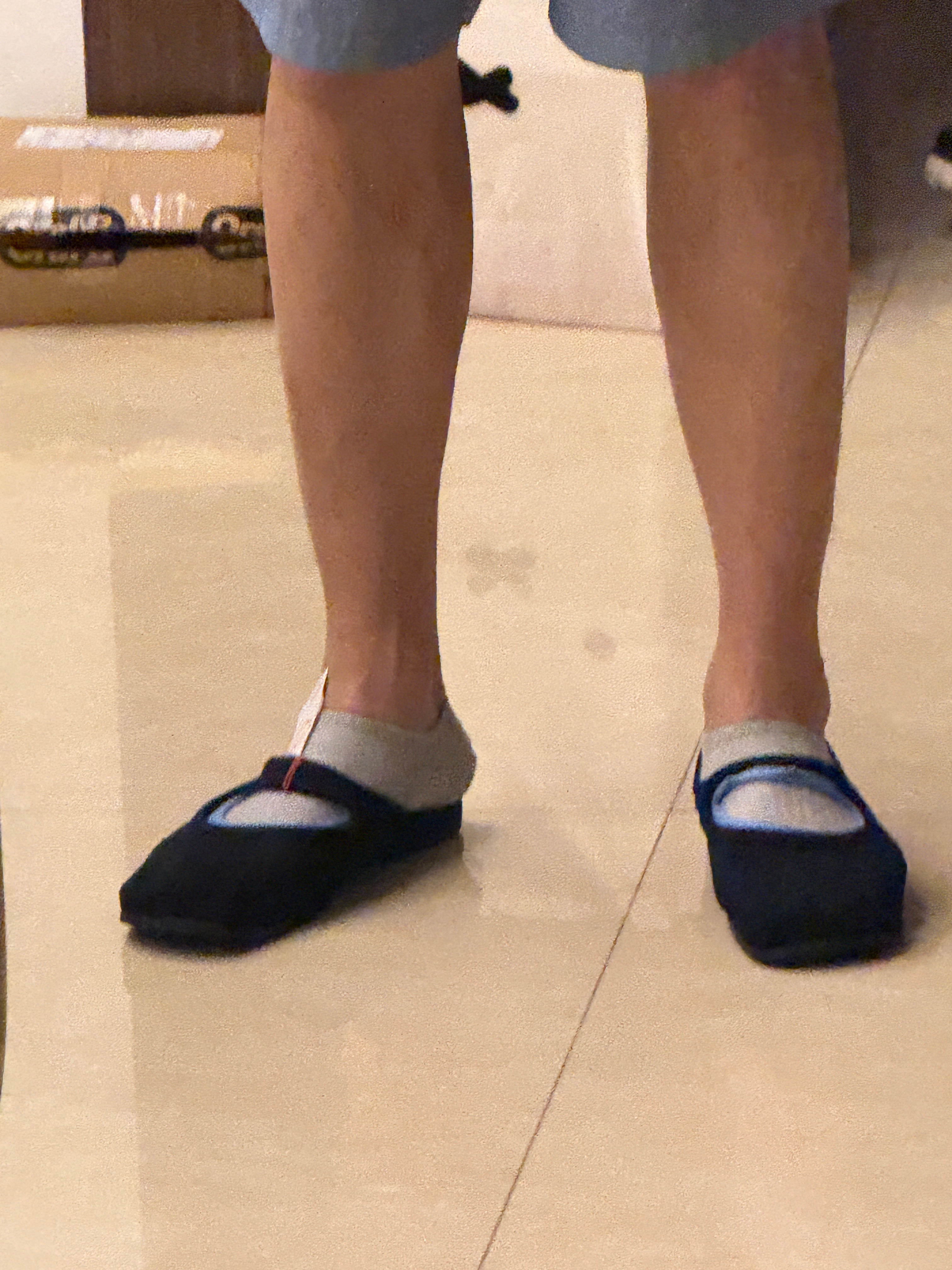 买了一双（从图片上看）很可爱的鞋刚拿出来旅蛙大惊：这什么啊？你要去当宫女啊结果被