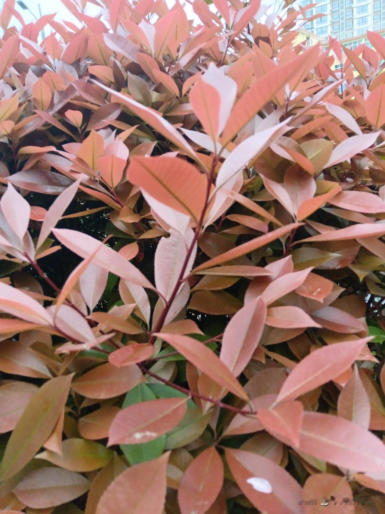 炒股赚不了多少钱！

炒股，看起来每天波动很大。几万块钱炒股，每天都有几百几千的