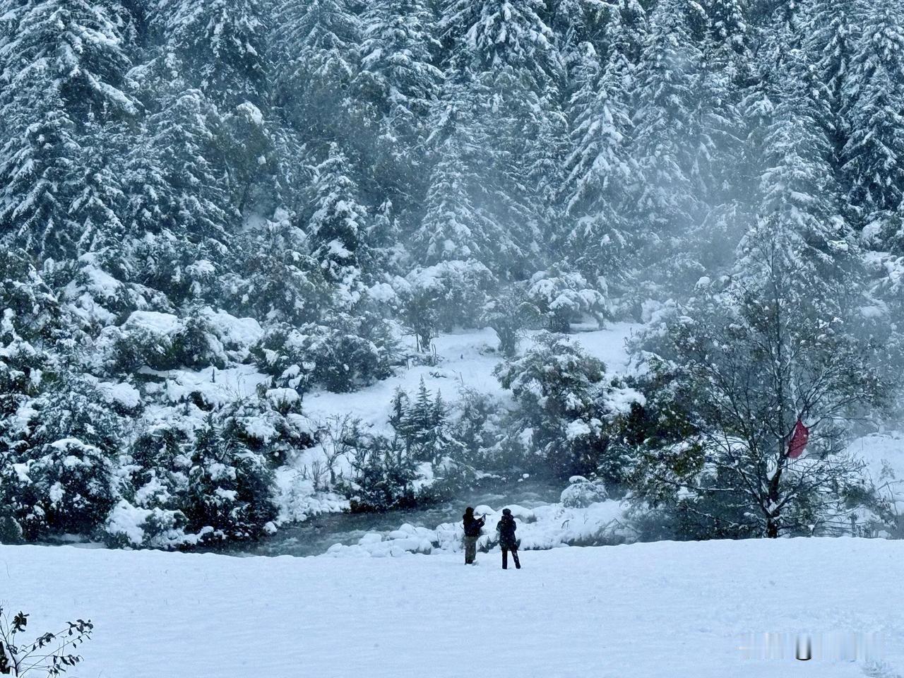 昨天刚从冰雪覆盖的省道S434出来，风景绝美但无心细赏。掉沟里的全是越野车。倒是