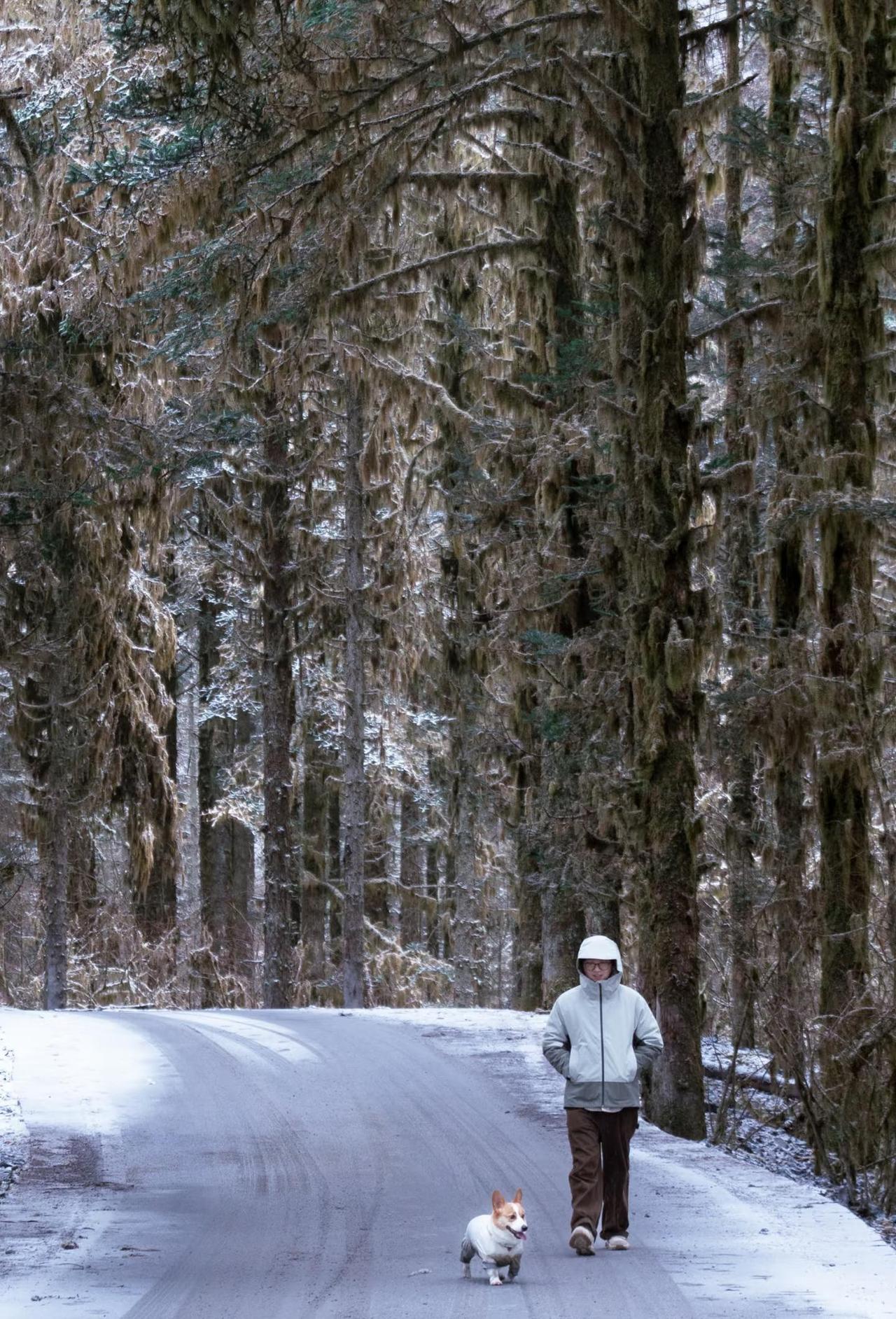 2.7｜乐山鹿儿坪免费少人看雪
导航到鹿儿坪，成都出发🚗约3.5h到达。看到沿