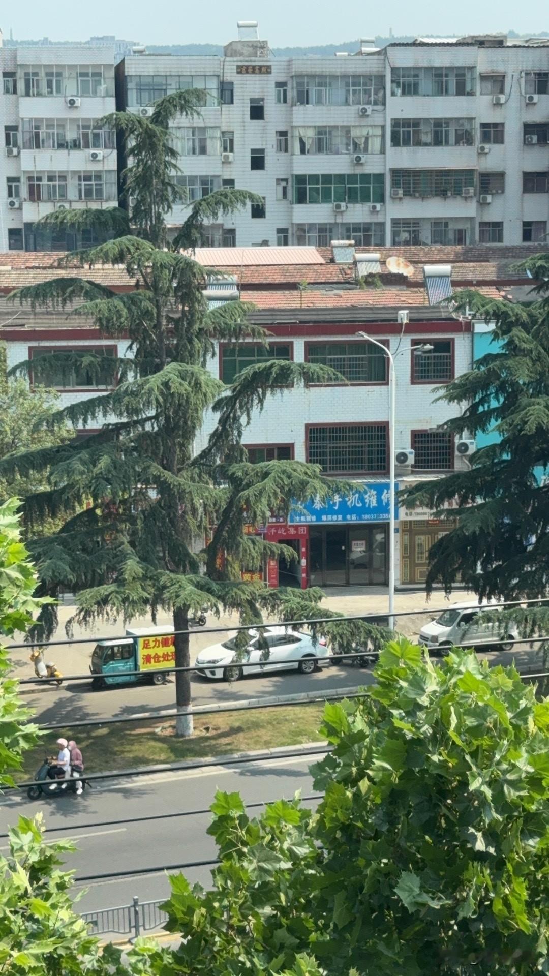 有人说性格决定命运，但性格并非人生的唯一定论，却深深影响我们前行的轨迹。乐观坚韧