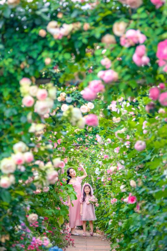 发现一条龙沙宝石的花园隧道｜遛娃日记❶❻❽-1