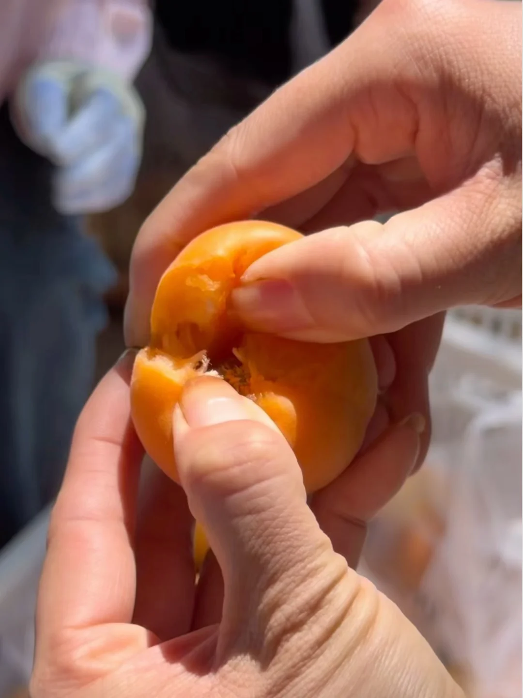 树上自然熟的高山蜜杏，甜🉐你跺脚！