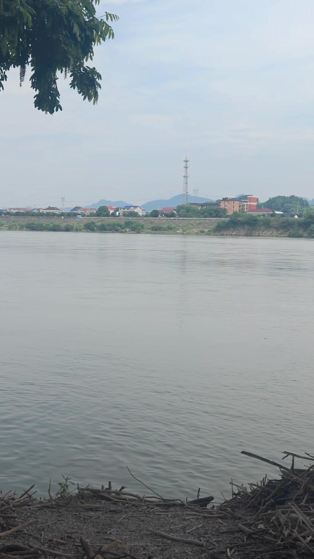 江风轻拂，雾霭氤氲，坐在江边钓鱼，看对岸万家灯火，内心无比宁静。那种专注等待鱼儿