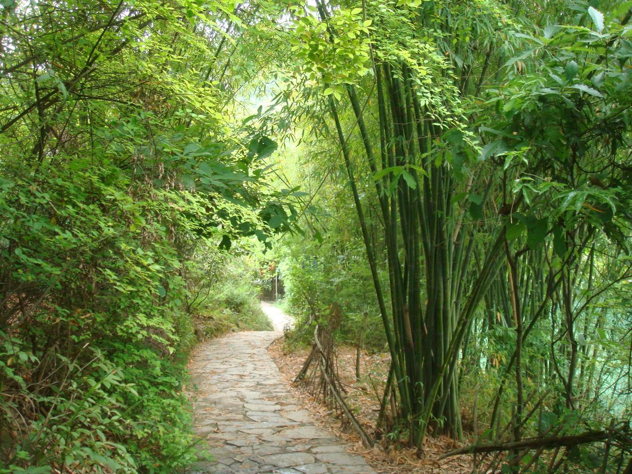 每年的工作计划里，脱单都排在首位，可每年都以失败告终。
去年为了实现这个目标，谈