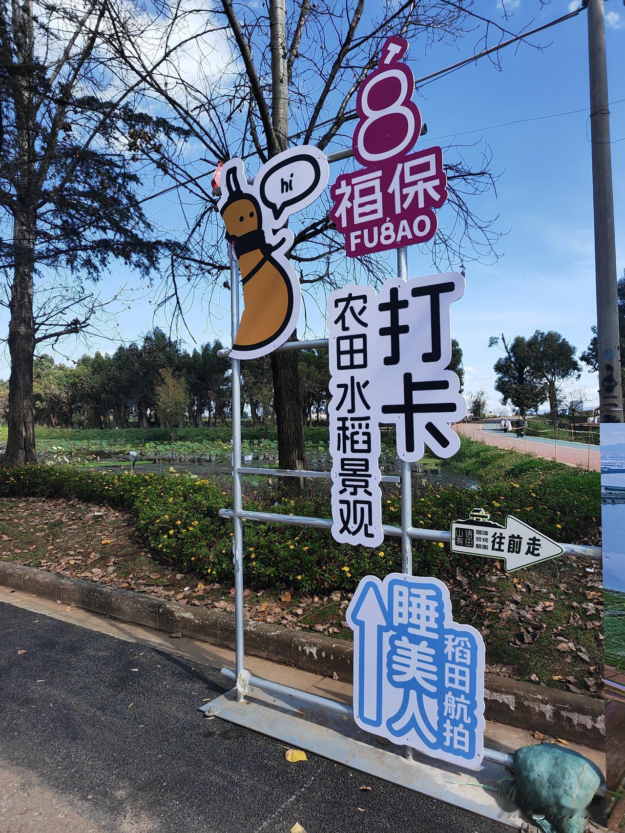 福保打鸟顺便看农机收割！
去福保村打鸟，居然看到有一台收割机在农田里收割稻谷。