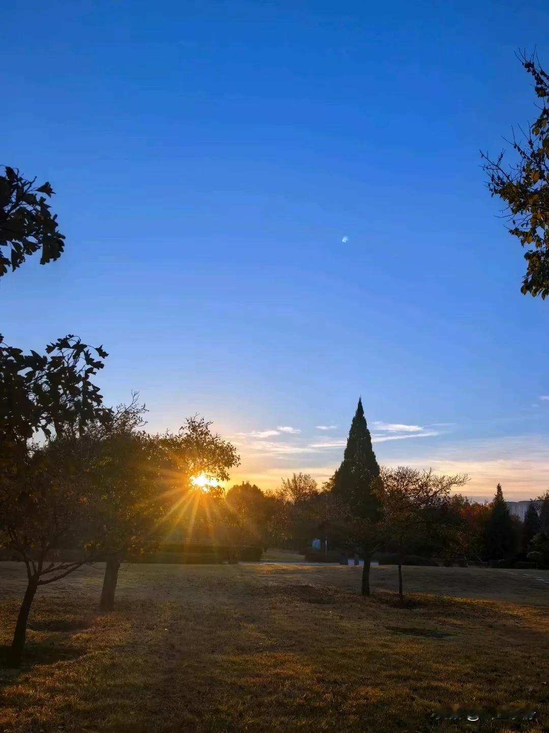 当你接触的人越多，层次越高，你就会发现欲成大树，莫于草争，将军有剑，不斩苍蝇，遇