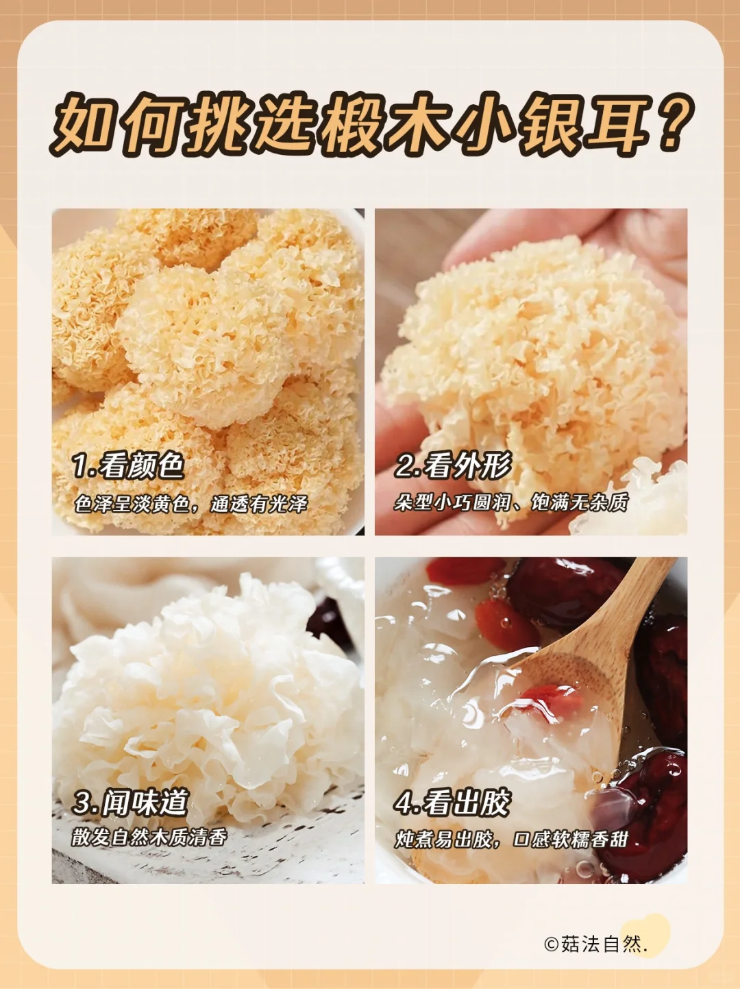 🔥教你4步挑选椴木小银耳👍
