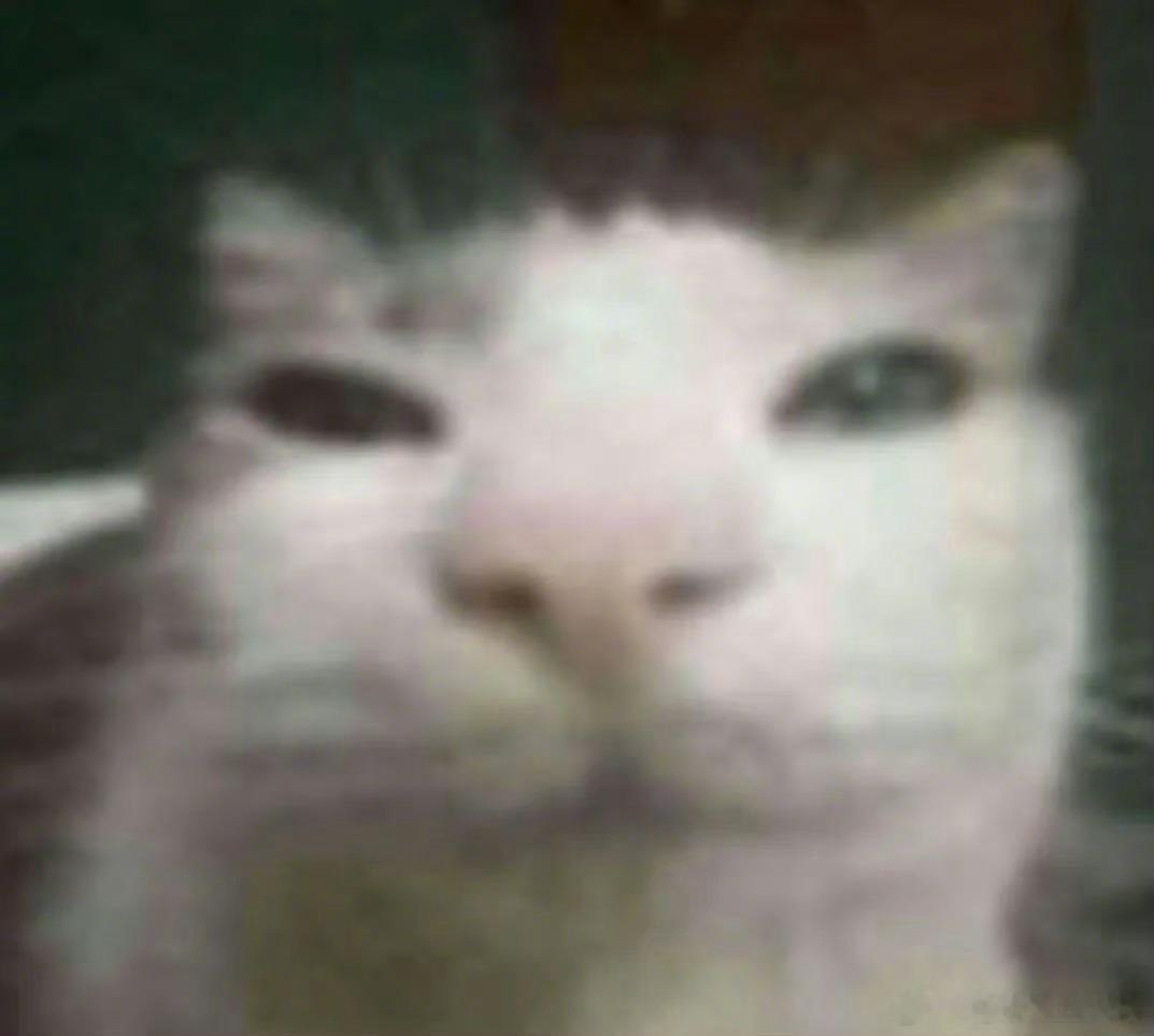 第五人格[超话] 如果你推追杀你你能溜多久 