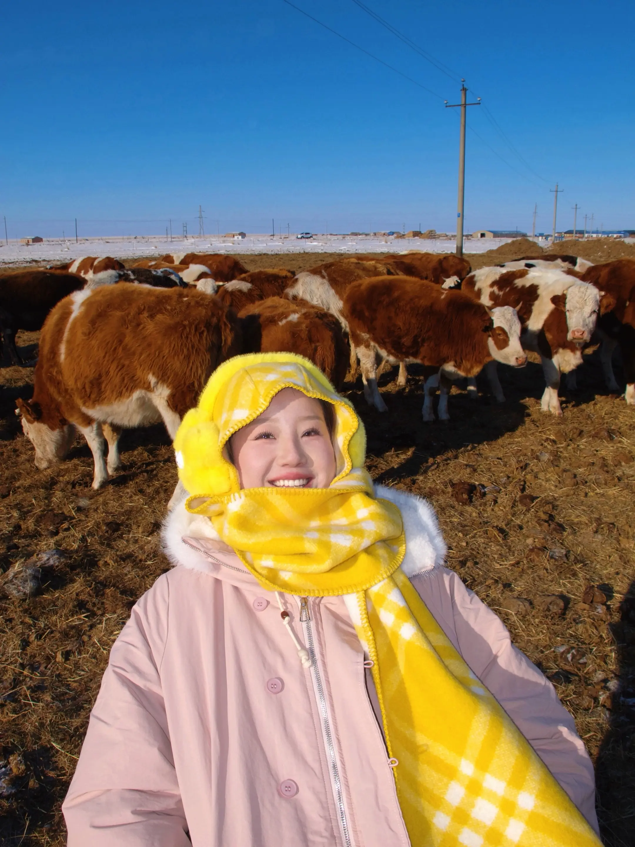 这才是我想要的游客照！