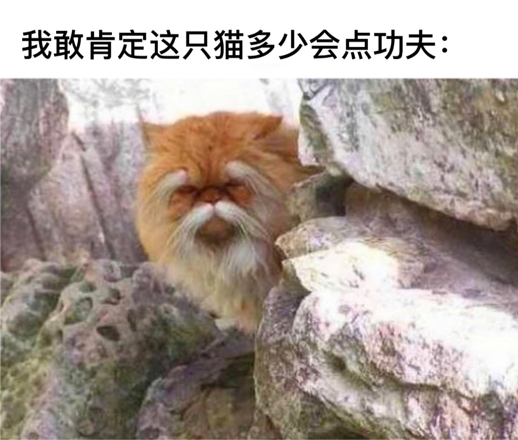 教我#今日memes# //#v笑年度大赏# ​​​
