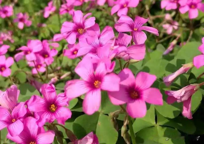 无法解释的玄学，一定要狠狠记住:
没钱的时候，不要整天念叨。有钱的时候，不奢侈浪