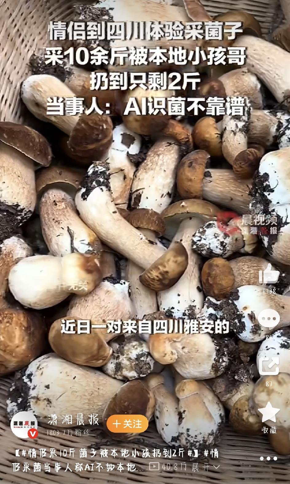 全网爆笑反转！情侣靠AI捡10斤菌子，被本地小孩哥当场纠错只剩2斤
起因：城里人