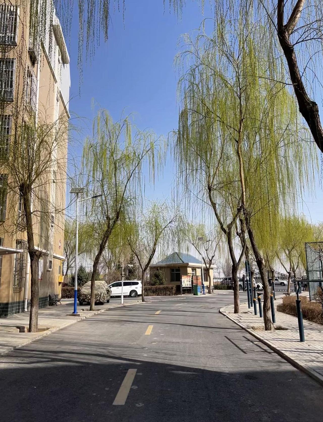 生活与我 治愈系慢下来看世界 慢下来看世界 治愈自己慢下来看世界