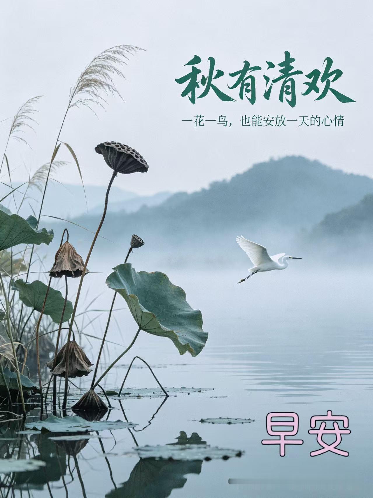 分享图片 ​​​
