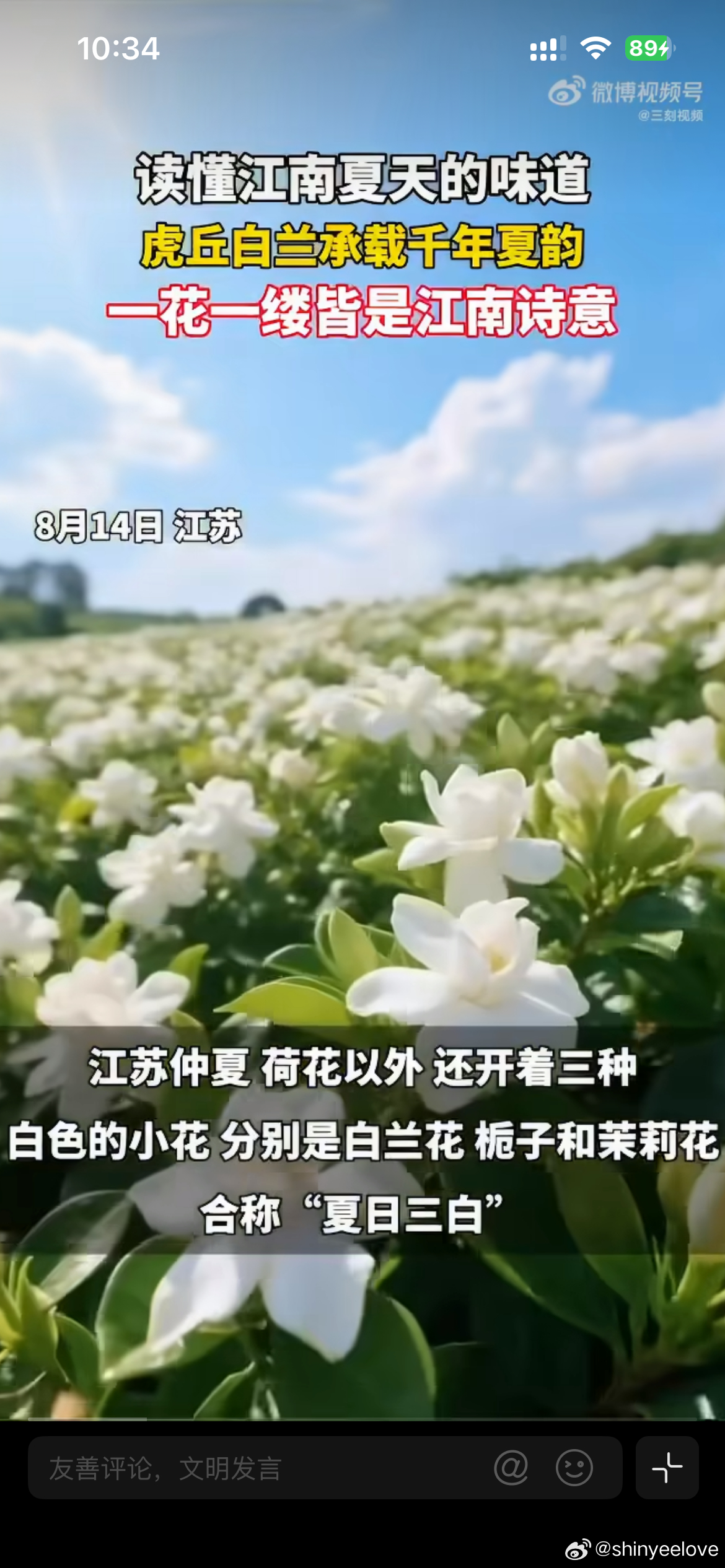 江苏的夏日浪漫是阿婆篮子里的白兰花江苏的夏日浪漫，藏在阿婆竹篮里的白兰花间。清早