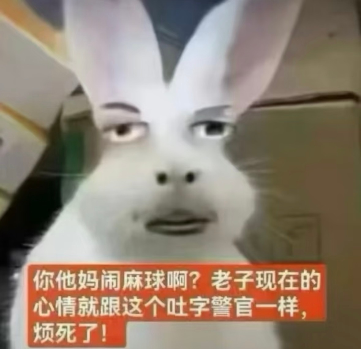 分享图片 ​​​