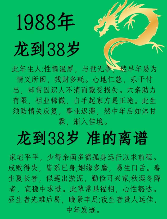1988 龙