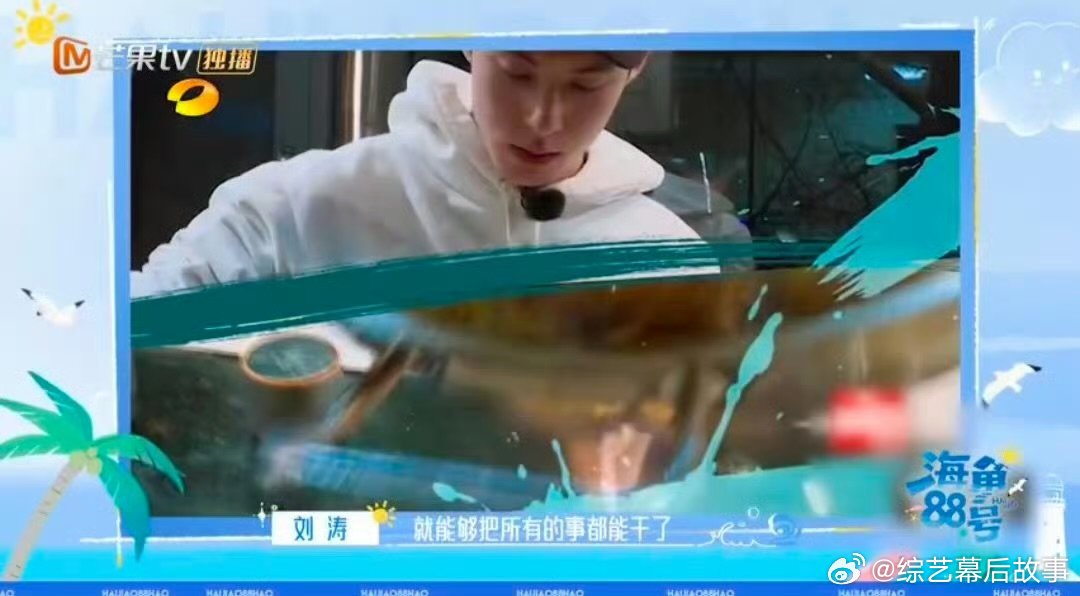 王鹤棣 刘涛严选海角88号 谁懂啊！刘涛把王鹤棣称为民宿界六边形战士，这评价也太