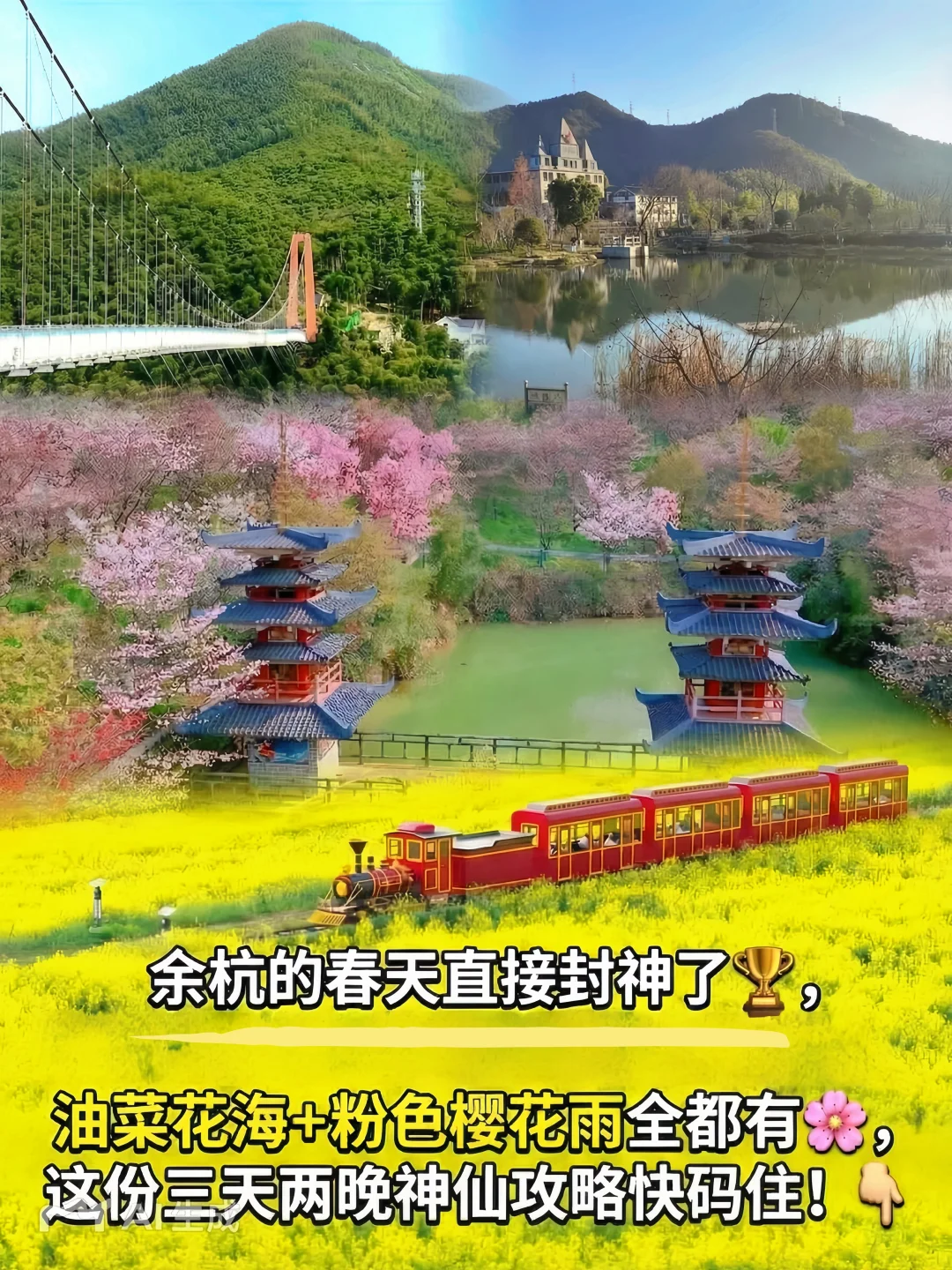 现在出发！闯入余杭春日浪漫天花板🌸